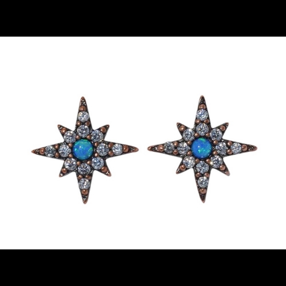 Brand New Taylor Swift Opal Earrings